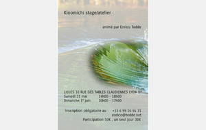 Enrico TEDDE propose un stage  de Kinomichi les 31 mai et le 1°juin 